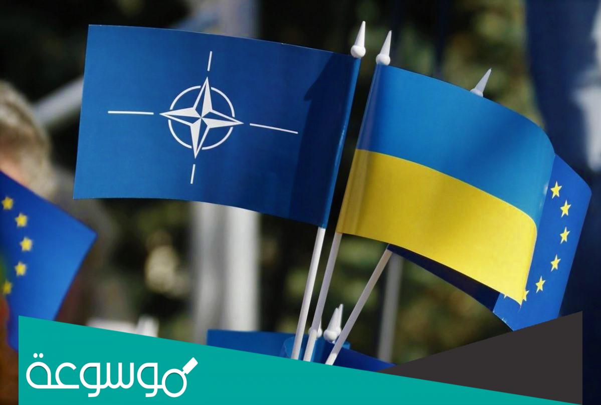 هل أوكرانيا في حلف الناتو