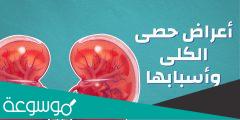 ما هي اعراض حصى الكلى واسبابها وطرق علاجها بالتفصيل