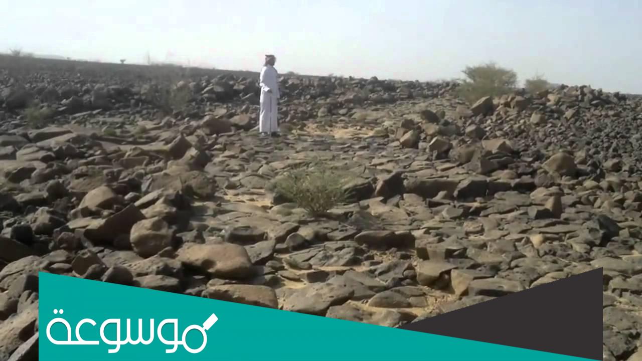 أبو رغال من أي قبيلة