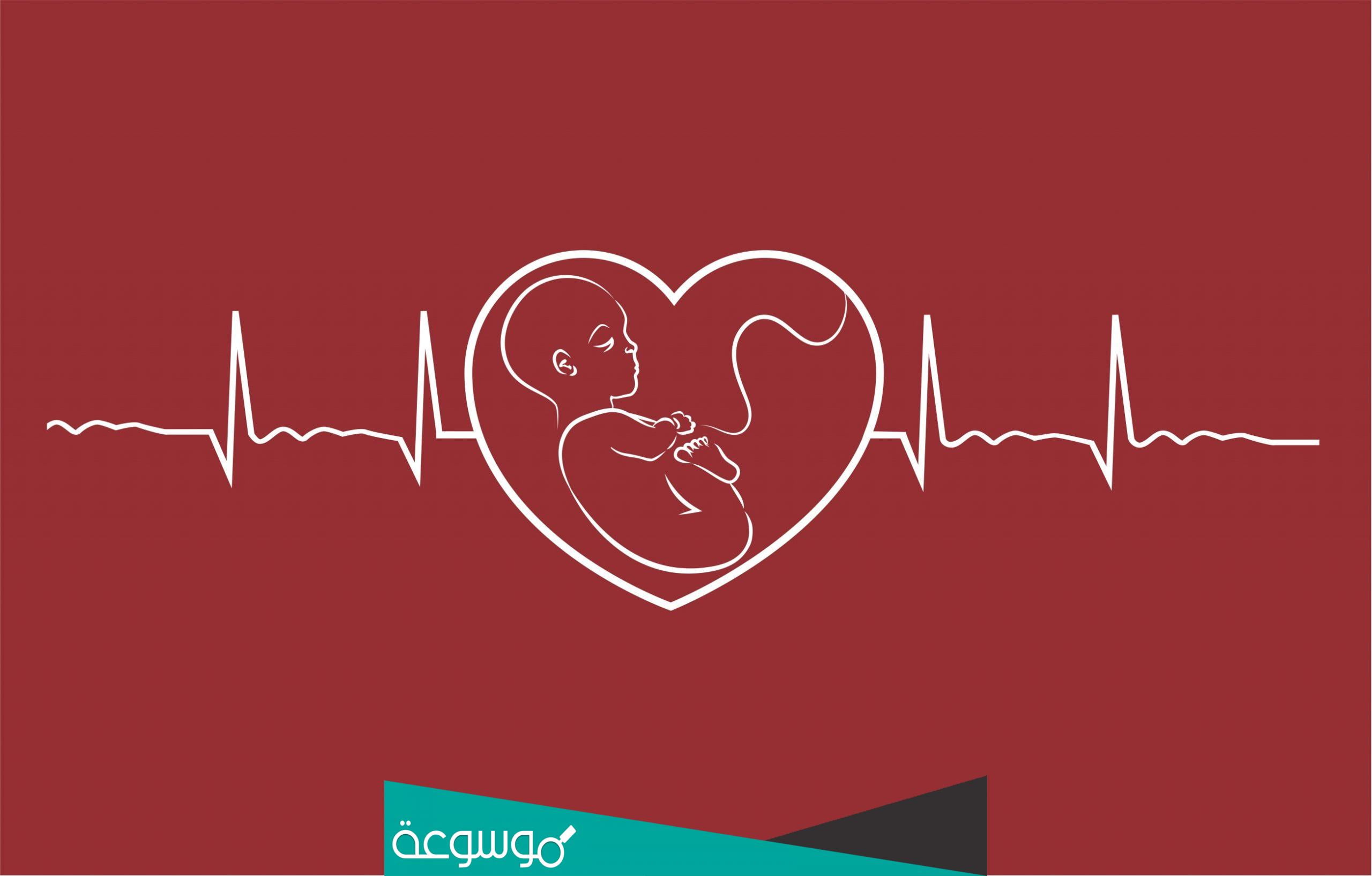 متى ينزل نبض الجنين وهل يمكن سماعه بوضوح