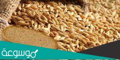 أيهما أفضل للرجيم القمح أم الشعير