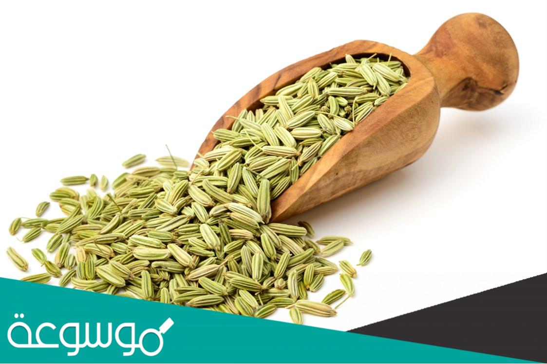 استخدام الشمر في علاج إنتفاخ المعدة