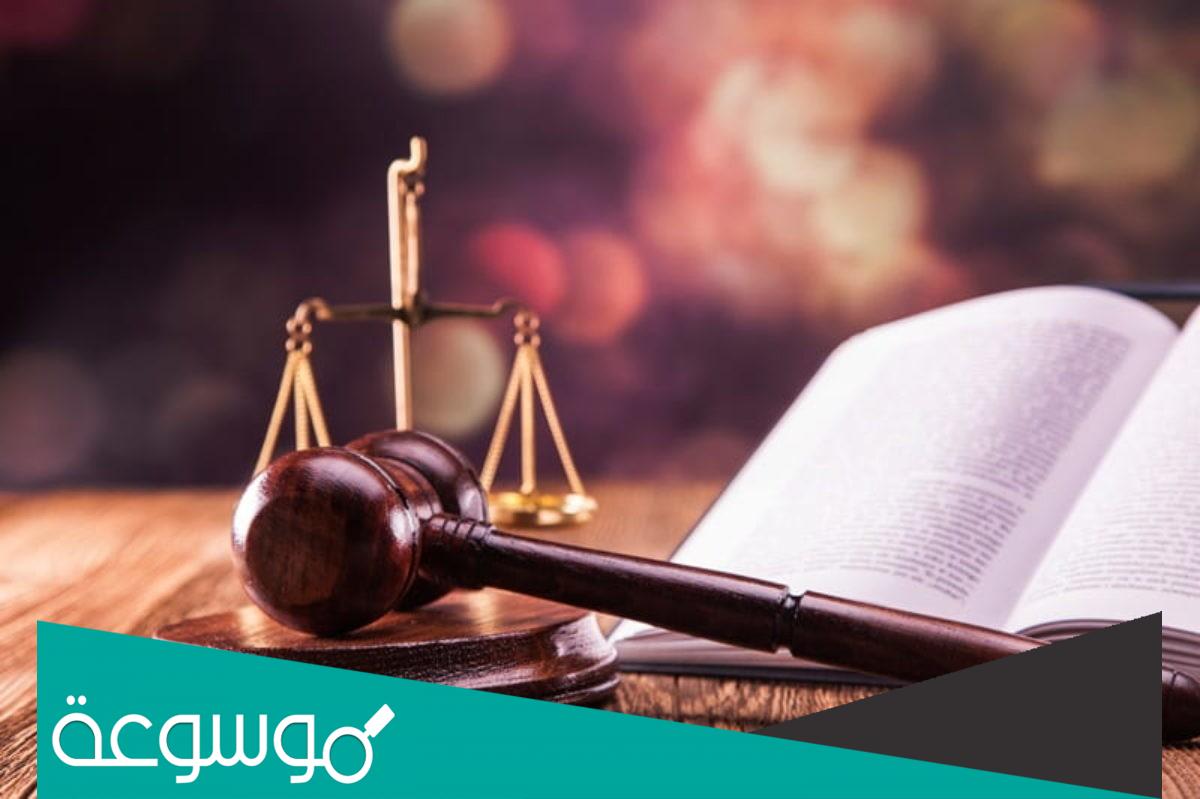 اسماء الناجحين في امتحان تنظيم مهنة القانون