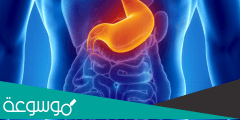 ما هي أعراض التهاب المعدة وطرق علاجها