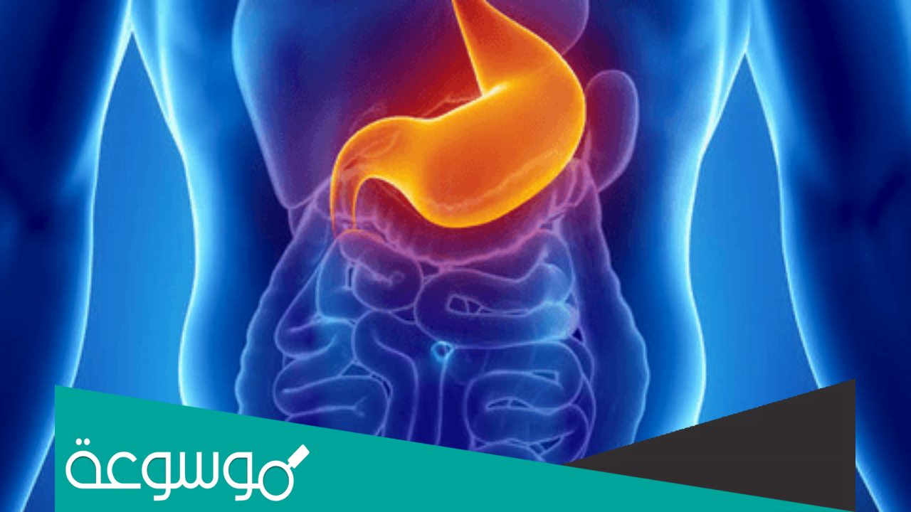 ما هي أعراض التهاب المعدة وطرق علاجها