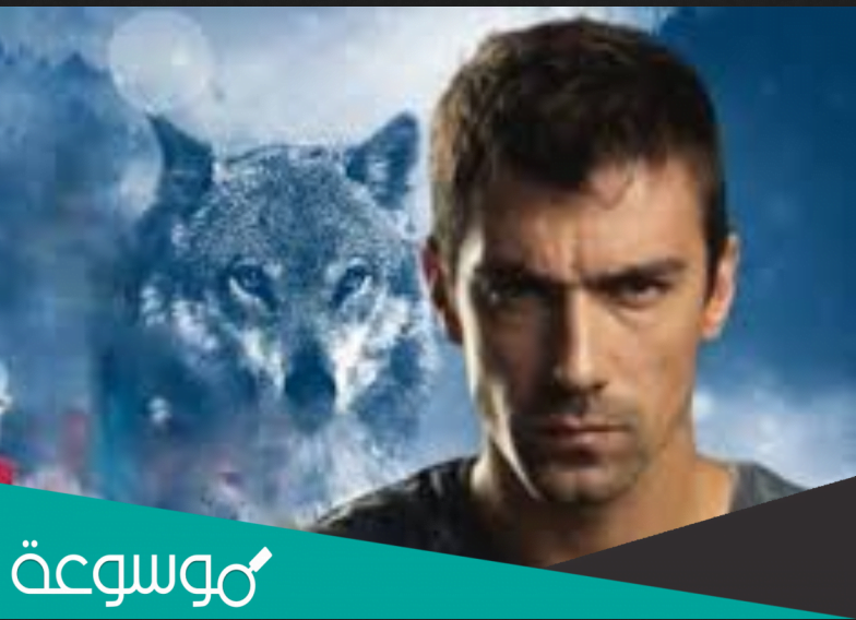 الذئب الوحيد