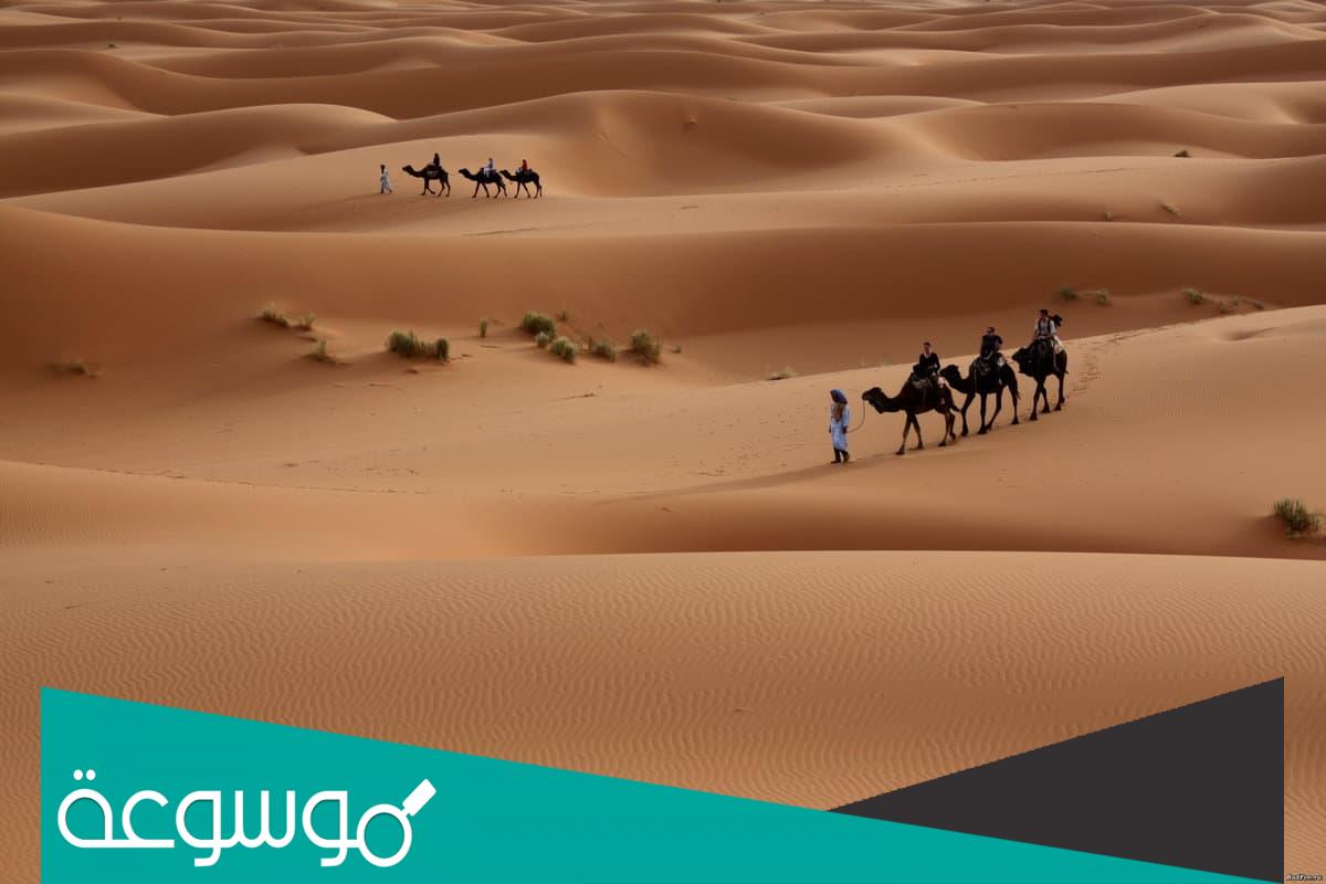 الزبيدي وش يرجع .. أصل قبيلة الزبيدي
