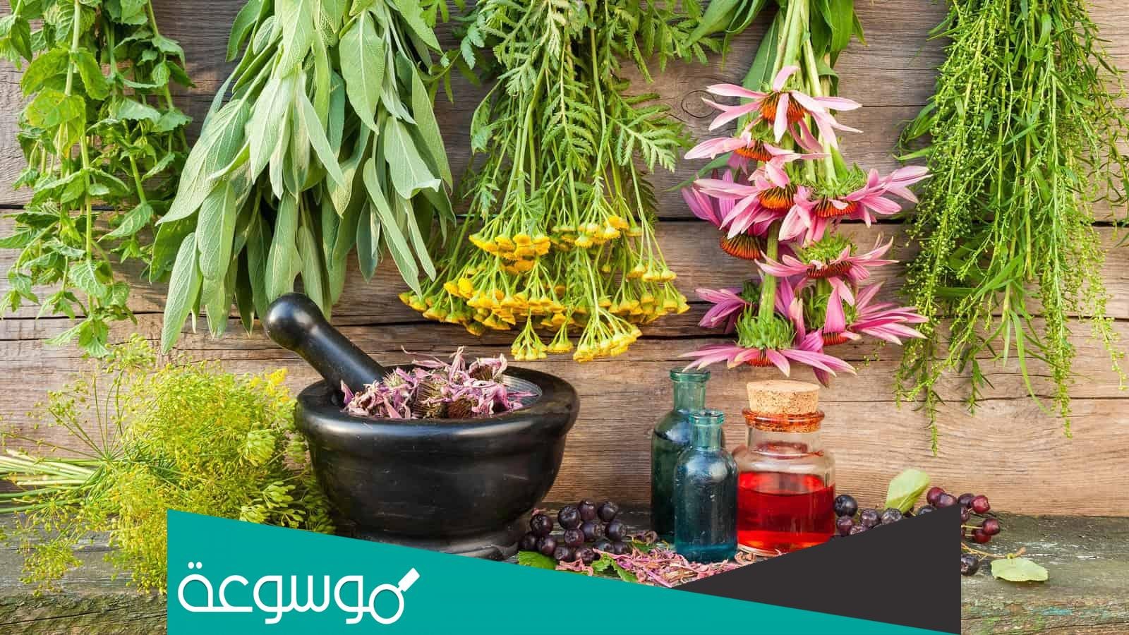 علاج الإسهال المزمن للأطفال بالأعشاب الطبيعية