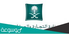 الفرع الرقمي وزارة التجارة شطب سجل تجاري