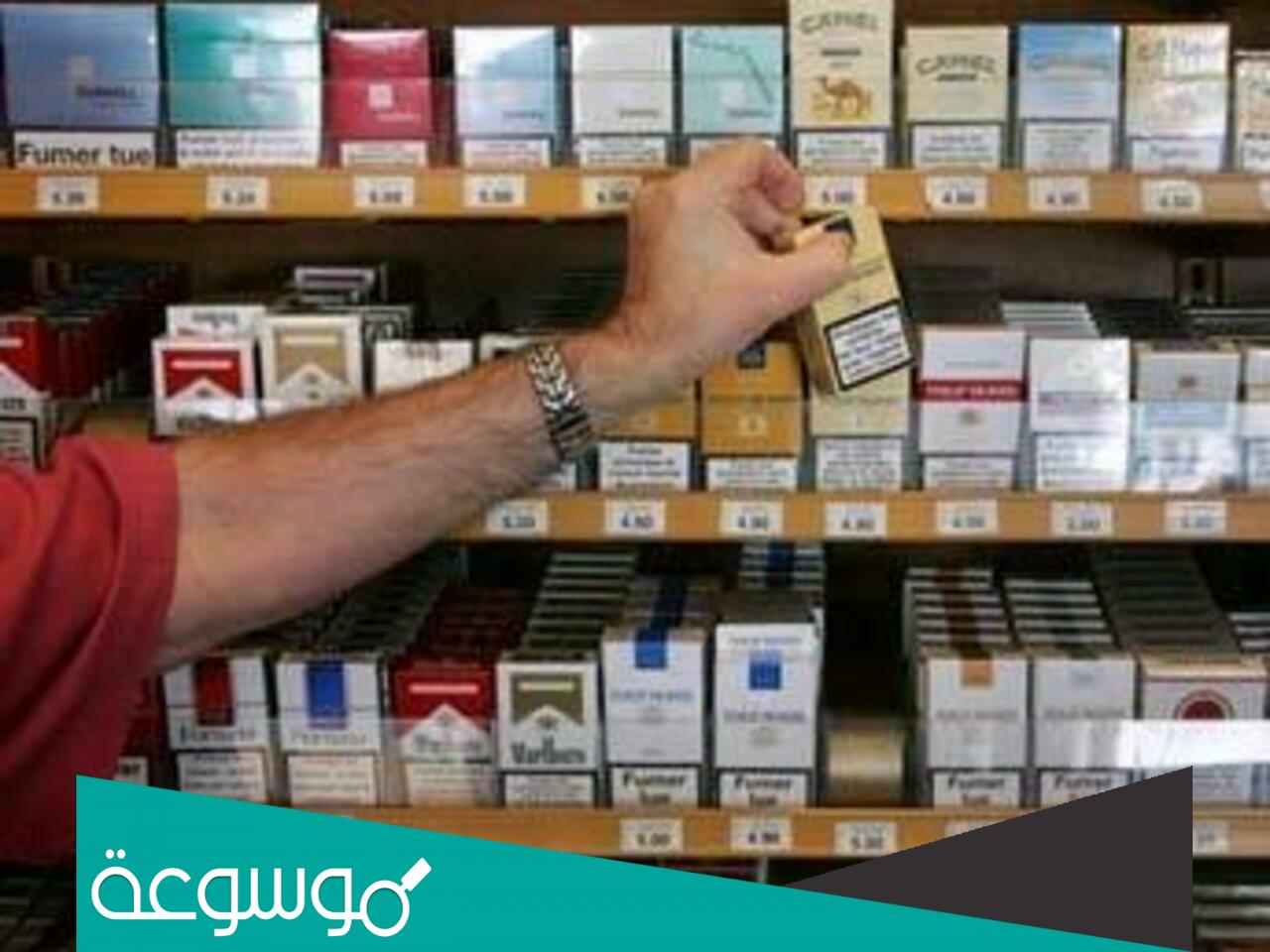 انواع الدخان في السعودية واسعارها