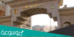 اول جامعة في السعودية