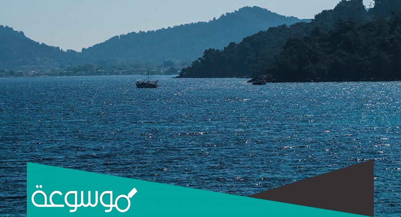 اول سباح عبر المانش