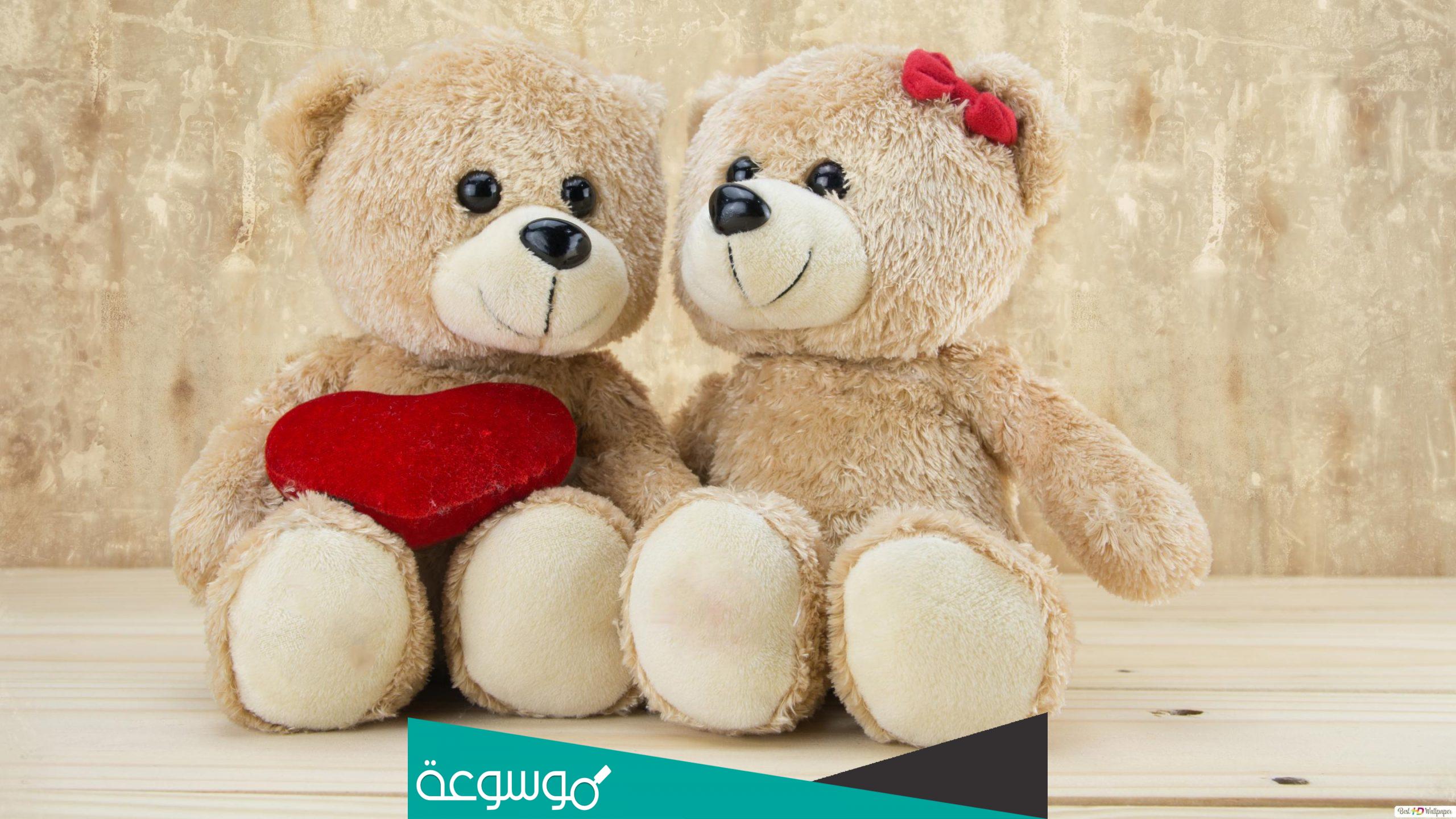 تاريخ يوم تيدي العالمي teddy day