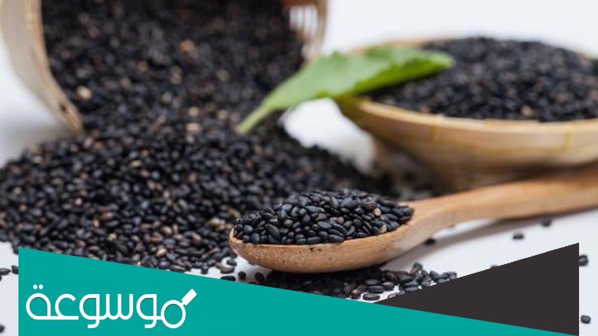 فائدة حبة البركة للصحة والجسم والامراض التي تحمي منها