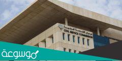 ديوان الخدمة المدنية كشف راتب الكويت