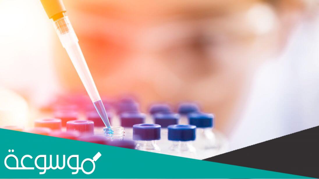 رواتب اخصائي مختبرات طبية في الامارات