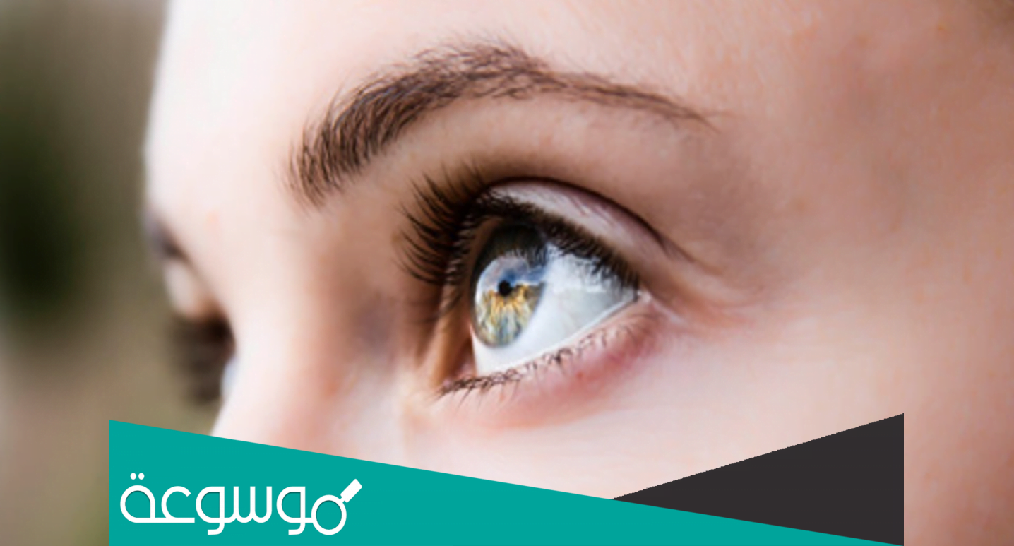 سراج الجسد ما هو