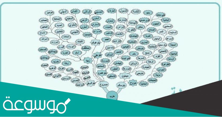 شجرة قبيلة حرب الرسمية كاملة