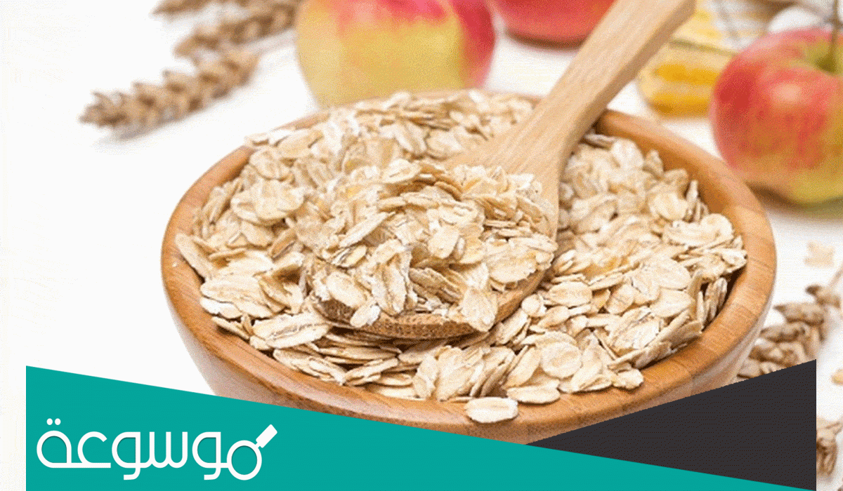 تجارب وصفة شوفان بالحليب دايت لسد الشهية