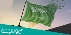 صور عن يوم التأسيس السعودي