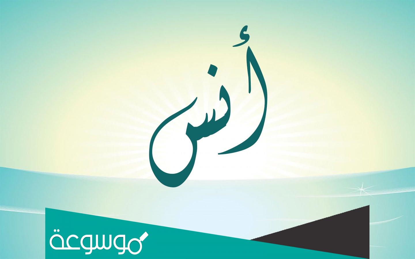 صورة انس بن مالك