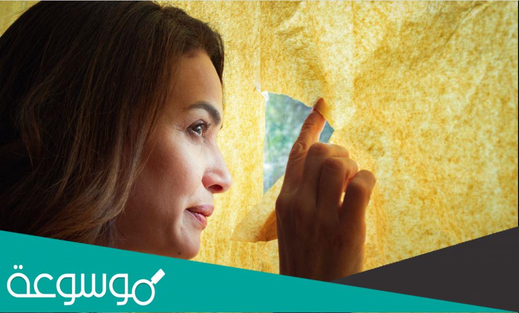 طاقم عمل مسلسل البحث عن علا