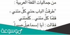 طرقت الباب حتى كلمتني فلما كلمتني كلمتني من القائل
