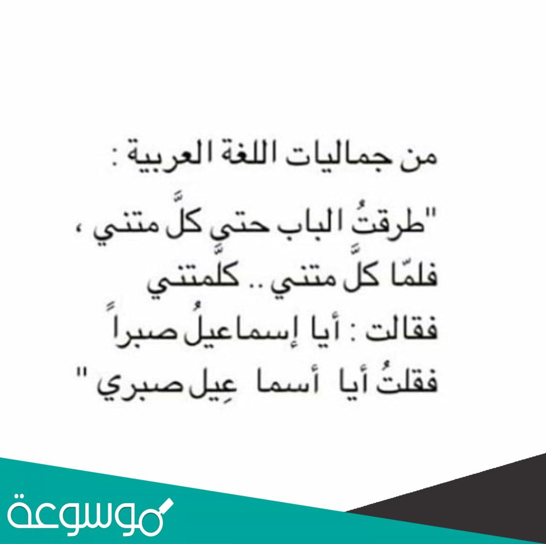 طرقت الباب حتى كلمتني فلما كلمتني كلمتني من القائل