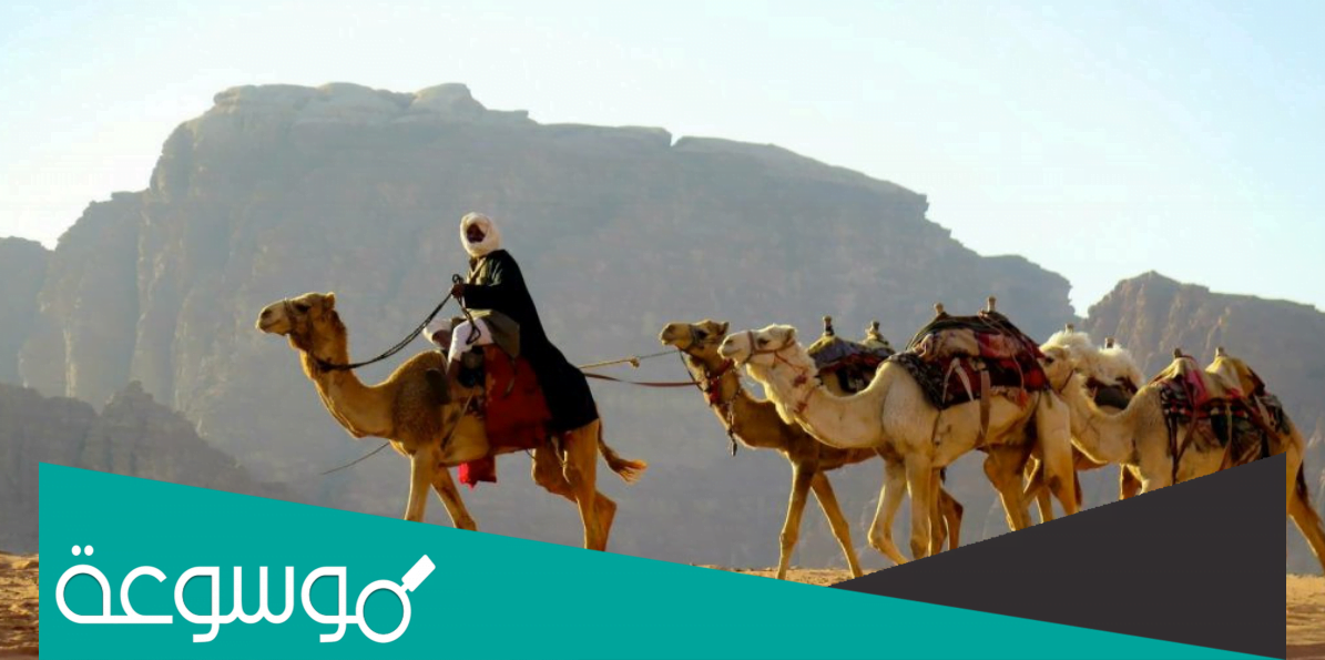 عائلة البلطان وش يرجعون