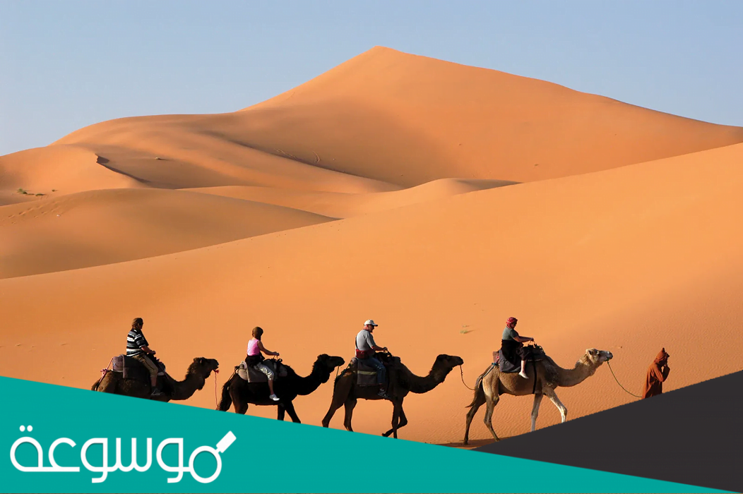 عائلة الدبيخي من وين