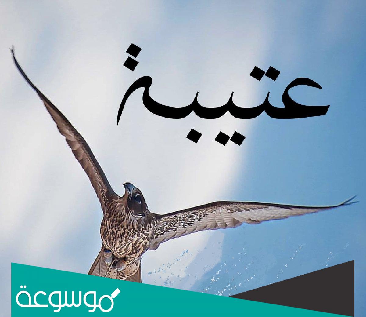 لون قبيلة عتيبه