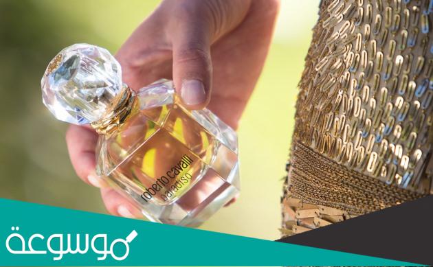 عطر روبرتو كفالي باراديسو كيف ريحته
