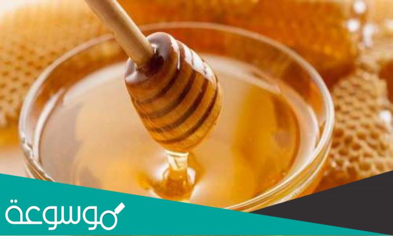طريقة استعمال العسل الملكي وفوائده للصحة والجسم