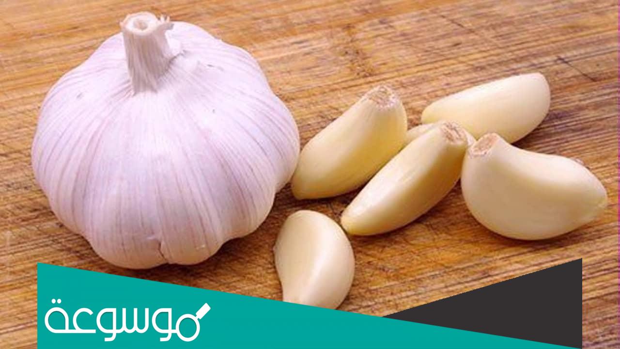فوائد الثوم للنفاس بالتفصيل وأهميته للجسم