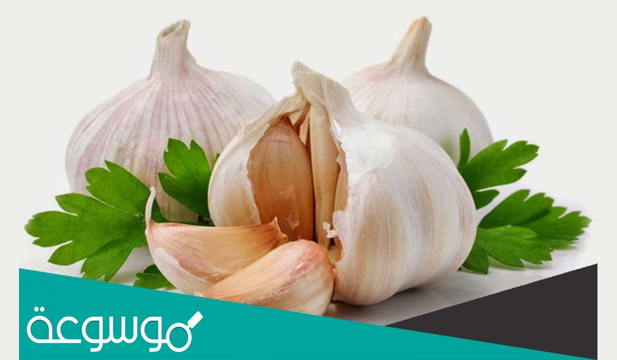 ما هي فوائد الثوم والتخسيس وطريقة تحضيره الصحيحة