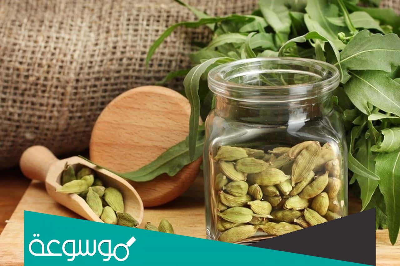 أضرار الهيل جابر القحطاني وأهم الأبحاث عن الهيل