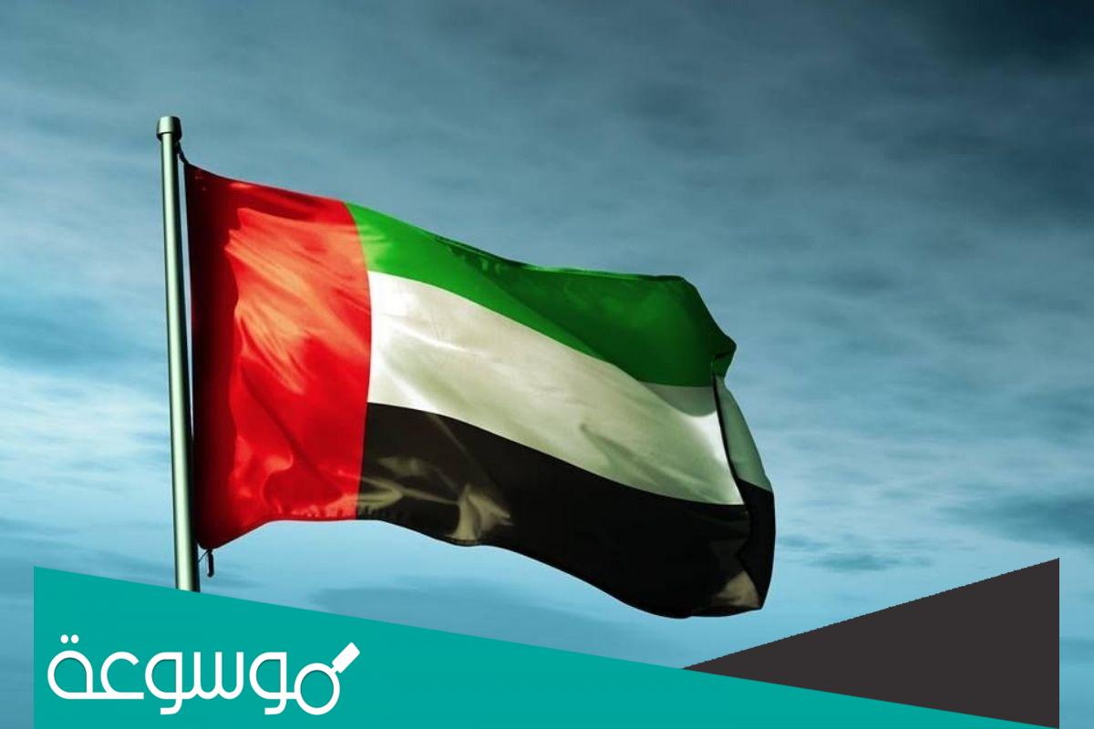 قانون العمل الإماراتي الجديد 2022