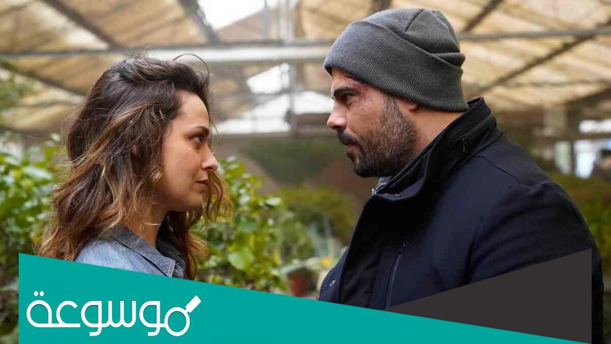 قصة فيلم security ويكيبيديا