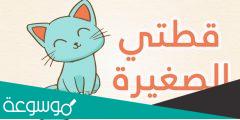 قطتي الصغيرة اسمها نميرة كلمات
