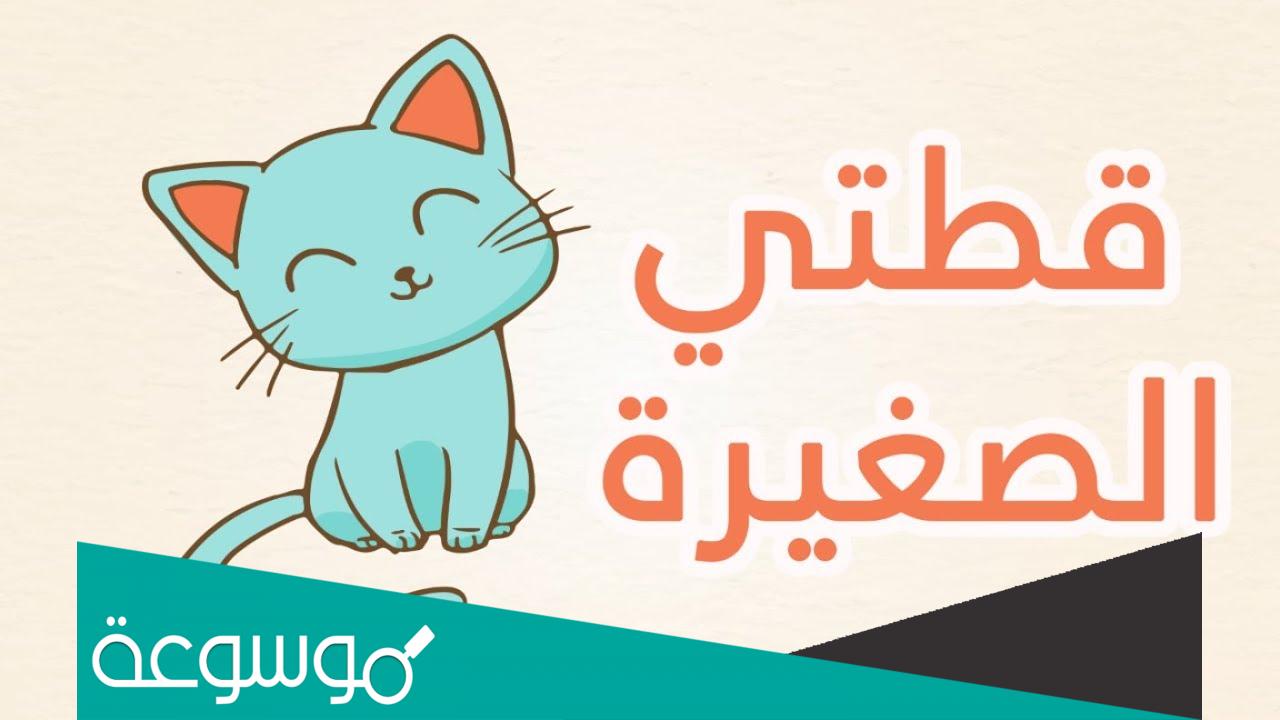 قطتي الصغيرة اسمها نميرة كلمات