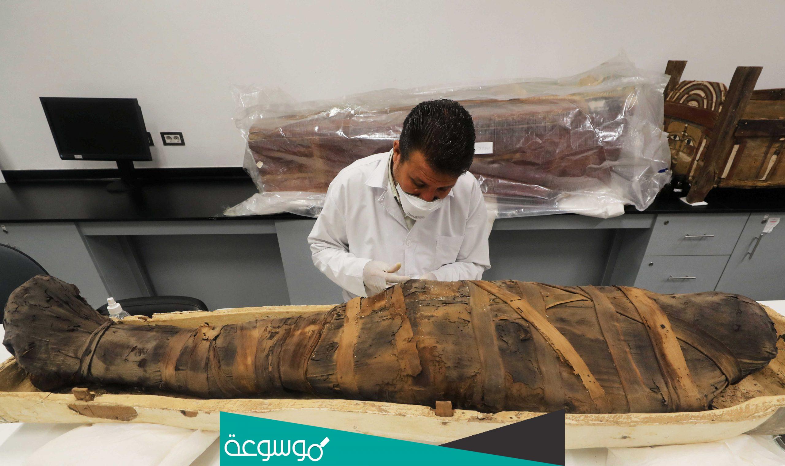 كم عدد المومياوات في الموكب الملكي