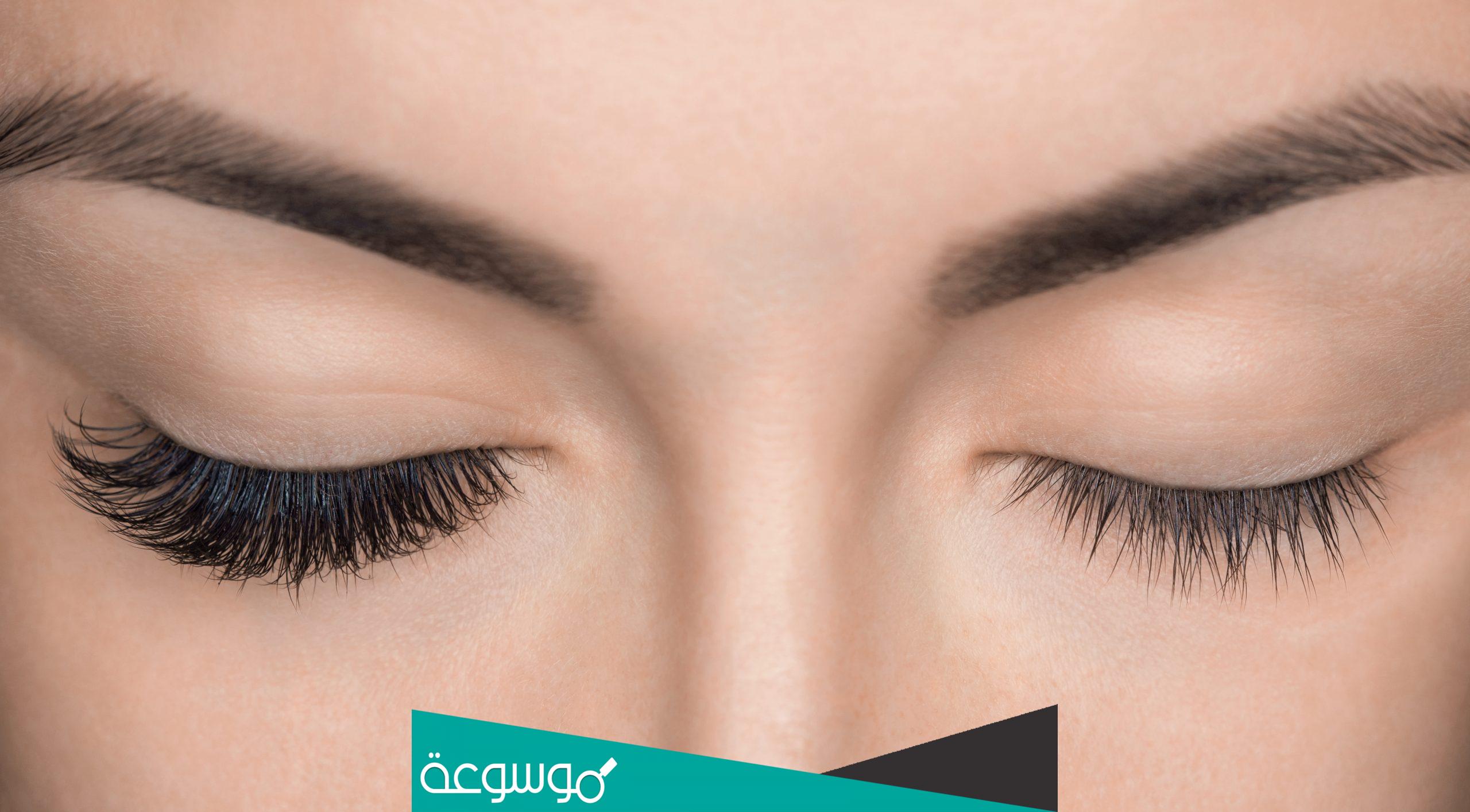 كم عدد رموش العين