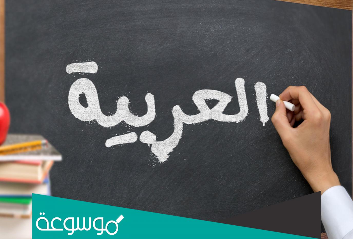 كم عدد كلمات اللغة العربية