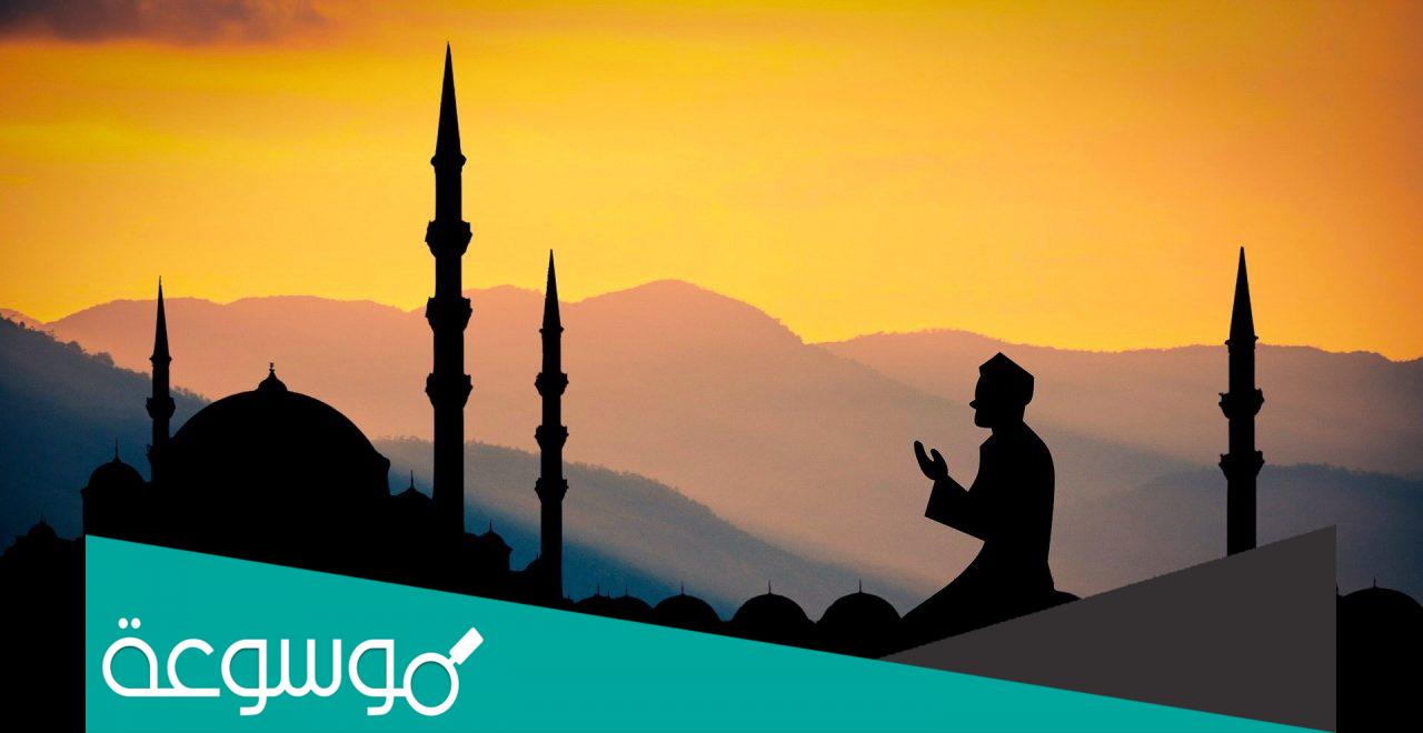 كم مذهب في الاسلام