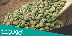 كم مرة تشرب القهوة الخضراء في اليوم