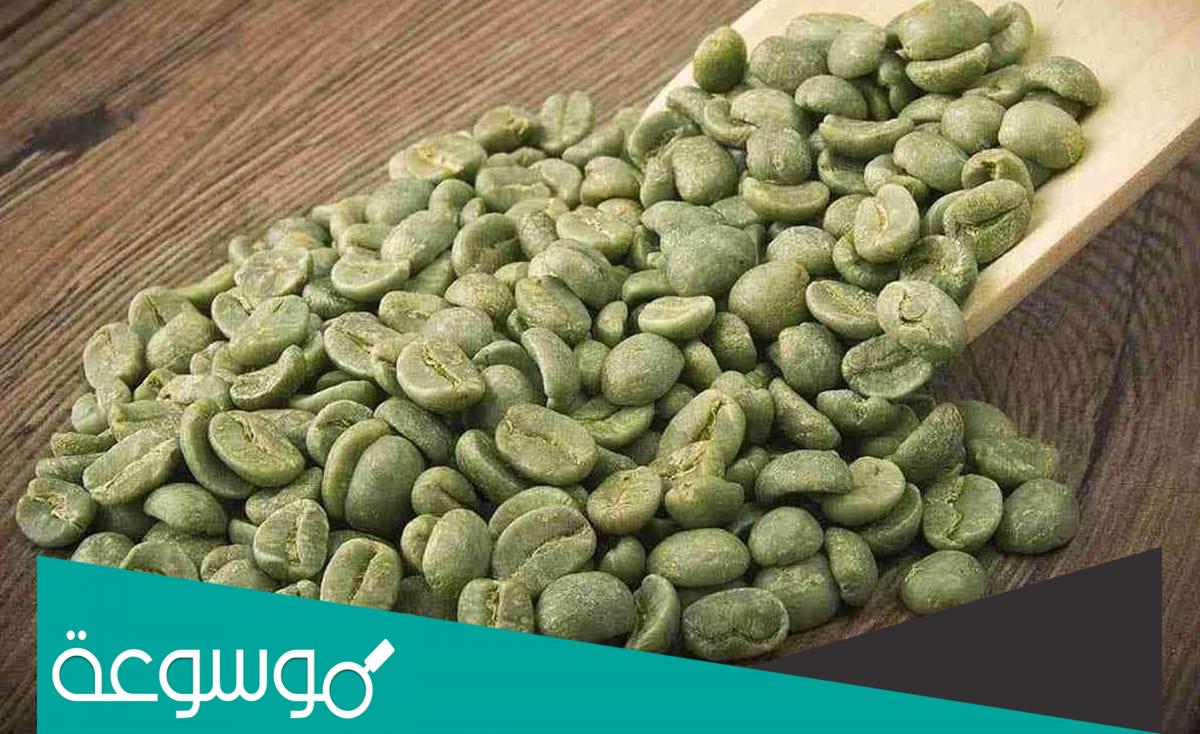 كم مرة تشرب القهوة الخضراء في اليوم
