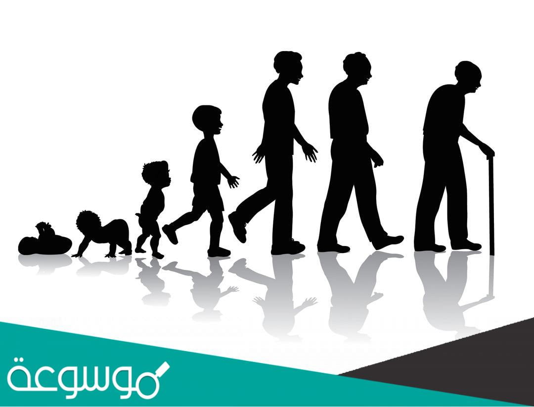 كم يساوي العقد الرابع من العمر