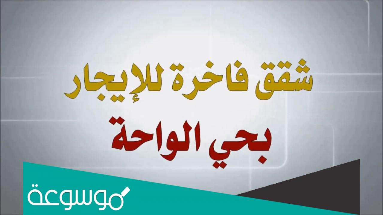 كيف احصل على شقق للايجار في حي الواحة جدة