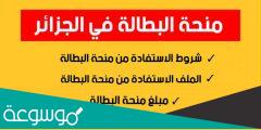 كيف اسجل في منحة البطالة 2022