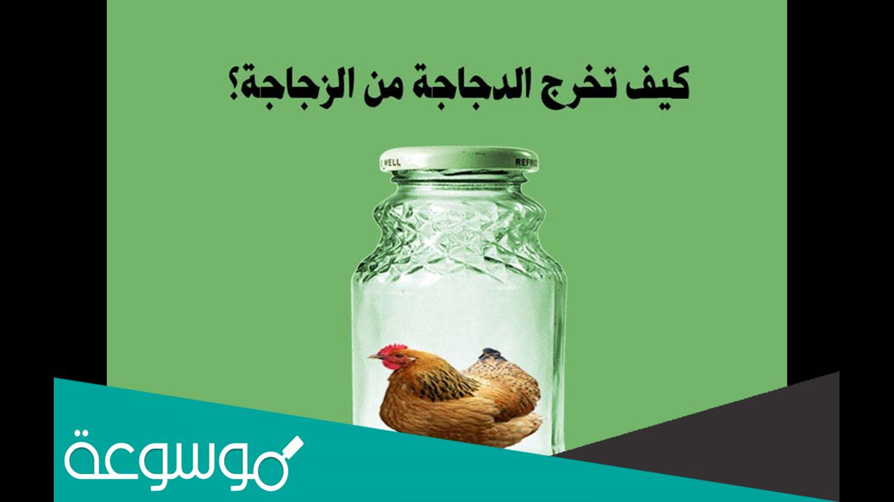 كيف تخرج الدجاجة من الزجاجة
